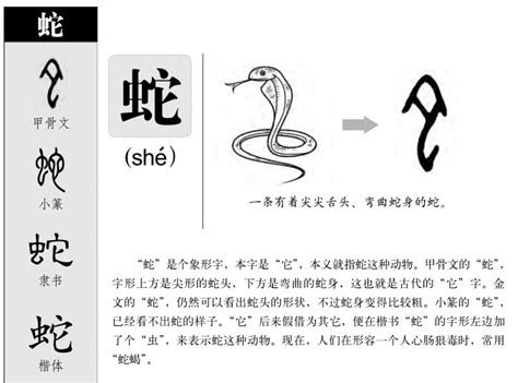 蛇 代表 玄字五行